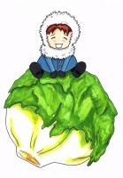 Sitting on an Iceberg